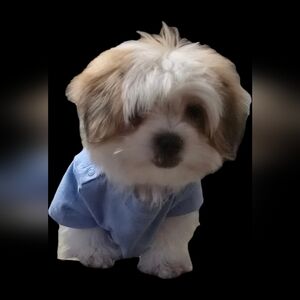 Meet your Posher, Jose